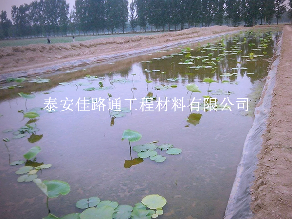 養(yǎng)殖防滲膜施工質(zhì)量咋檢測？這些技巧要掌握